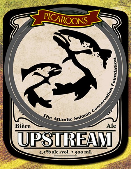 Picaroons Upstream Ale Returns This Week