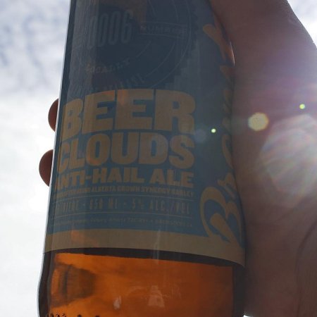 Brewsters Collaborates With Local Barley Growers on Beer Clouds Anti-Hail Ale