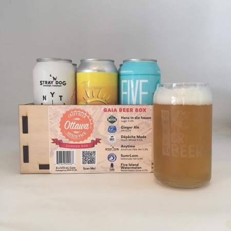 Nita Beer Co. Curates Multi-Brewer Ottawa Craft Beer Mixed Pack for Summer 2019