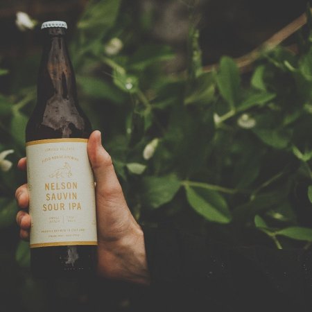 Field House Brewing Releases Nelson Sauvin Sour IPA