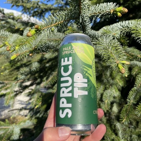 Winterlong Brewing Releasing 2022 Edition of Spruce Tip Pale Ale