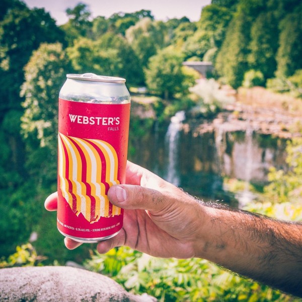 MERIT Brewing Releases Webster's Falls IPA and Party For One Dry Hopped  Sour – Canadian Beer News