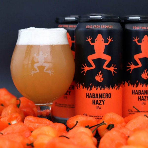 Dead Frog Brewing Releasing Habanero Hazy IPA