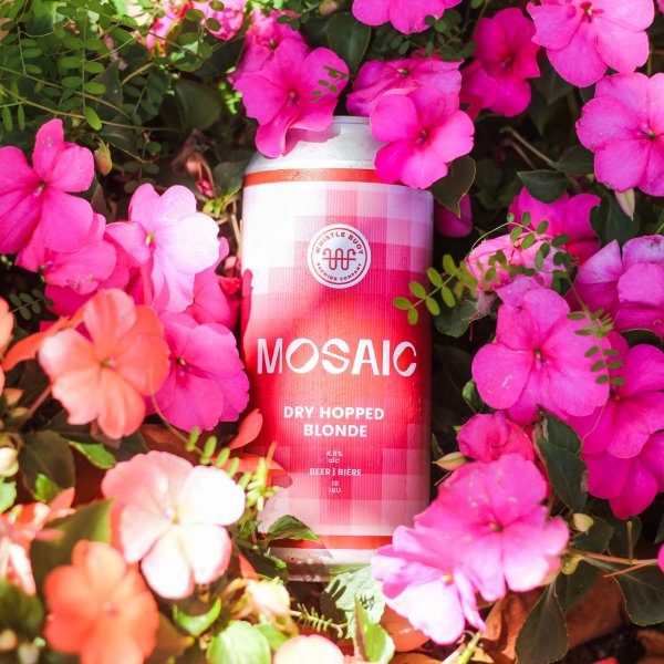 Whistle Buoy Brewing Releases Mosaic Dry-Hopped Blonde